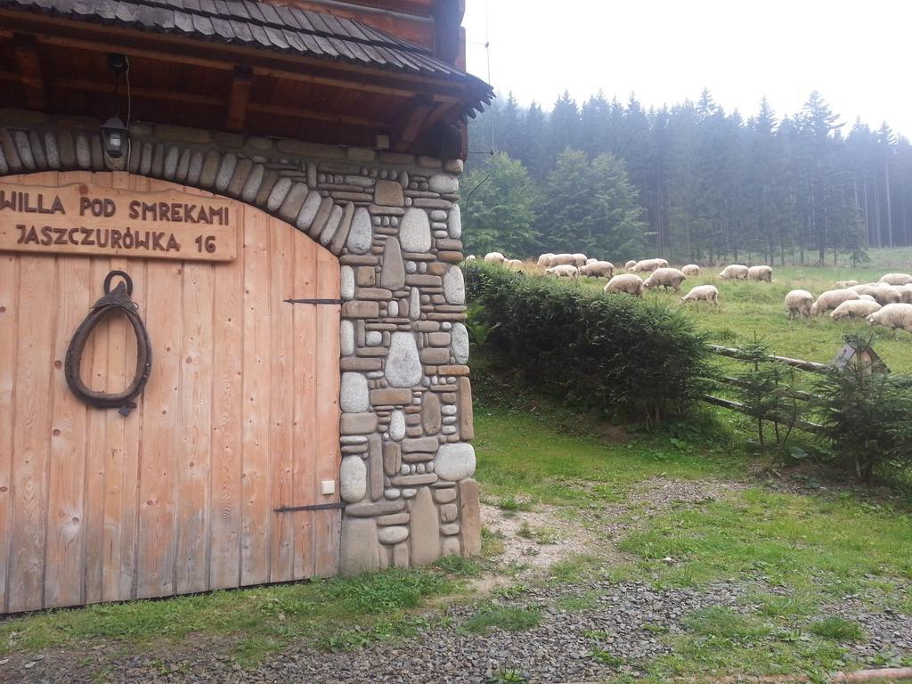 Wynajem Pokoi-Willa Pod Smrekami Zakopane Extérieur photo