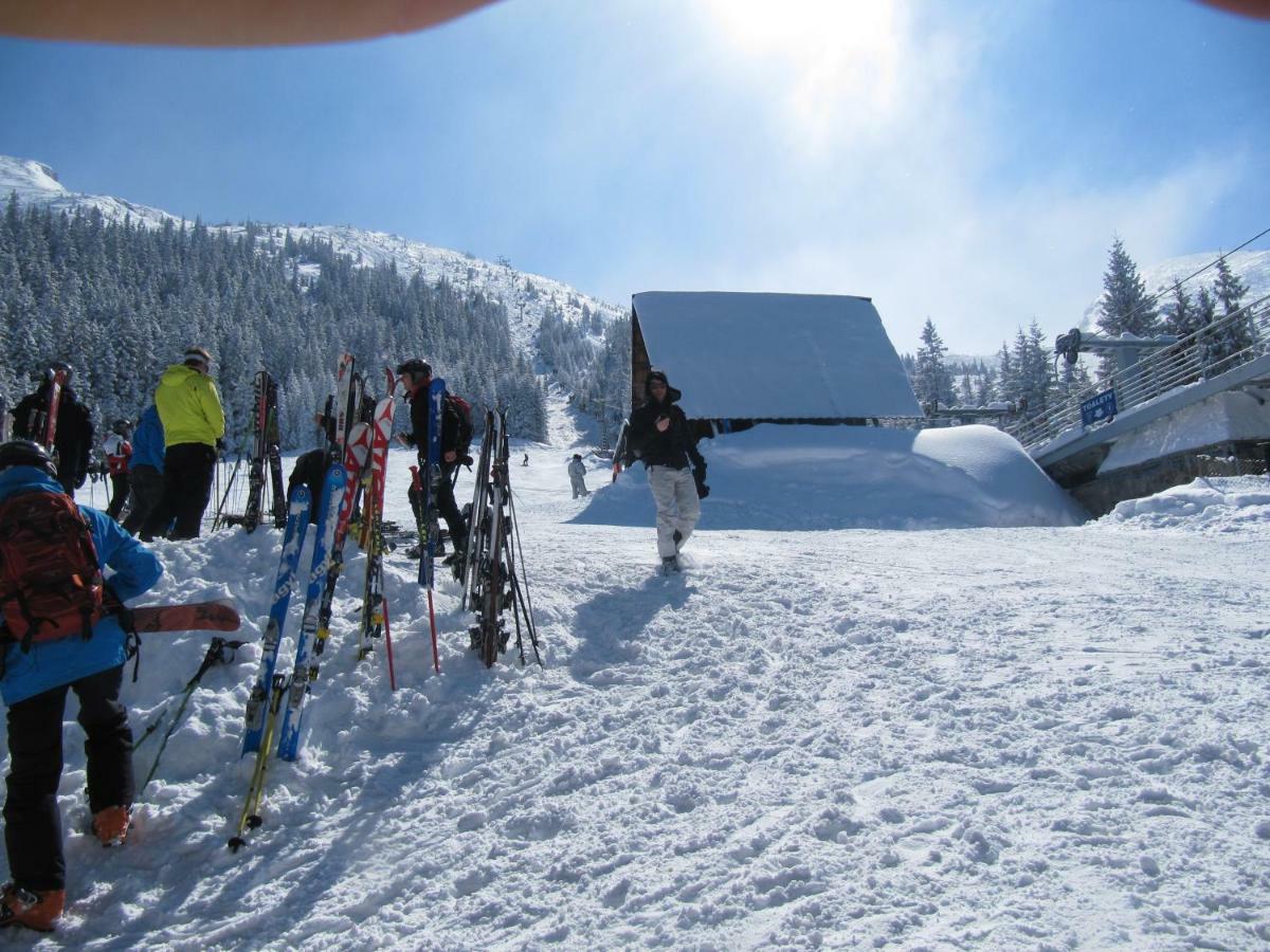 Wynajem Pokoi-Willa Pod Smrekami Zakopane Extérieur photo